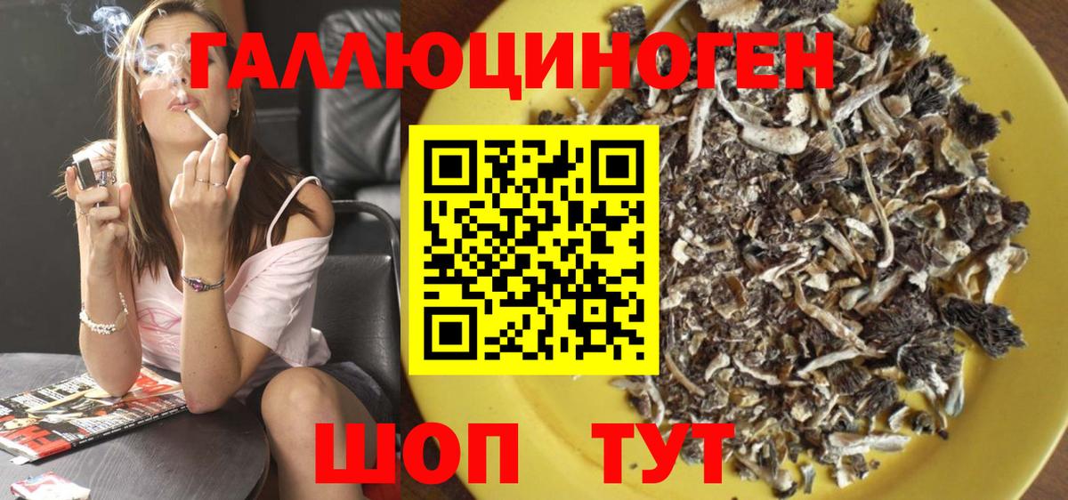 Псилоцибиновые грибы мухоморы Балашиха