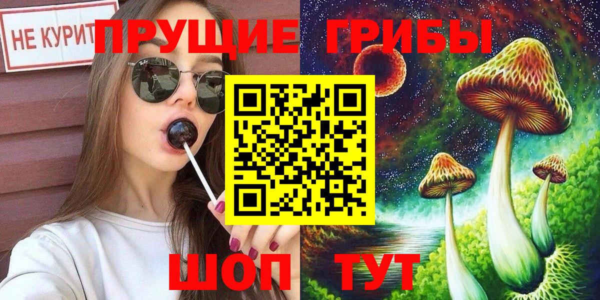 где купить наркоту  Вход с VPN  Псилоцибиновые грибы прущие грибы  Балашиха  Галлюциногенные грибы Psilocybe 